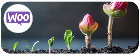 Boost WooCommerce Store